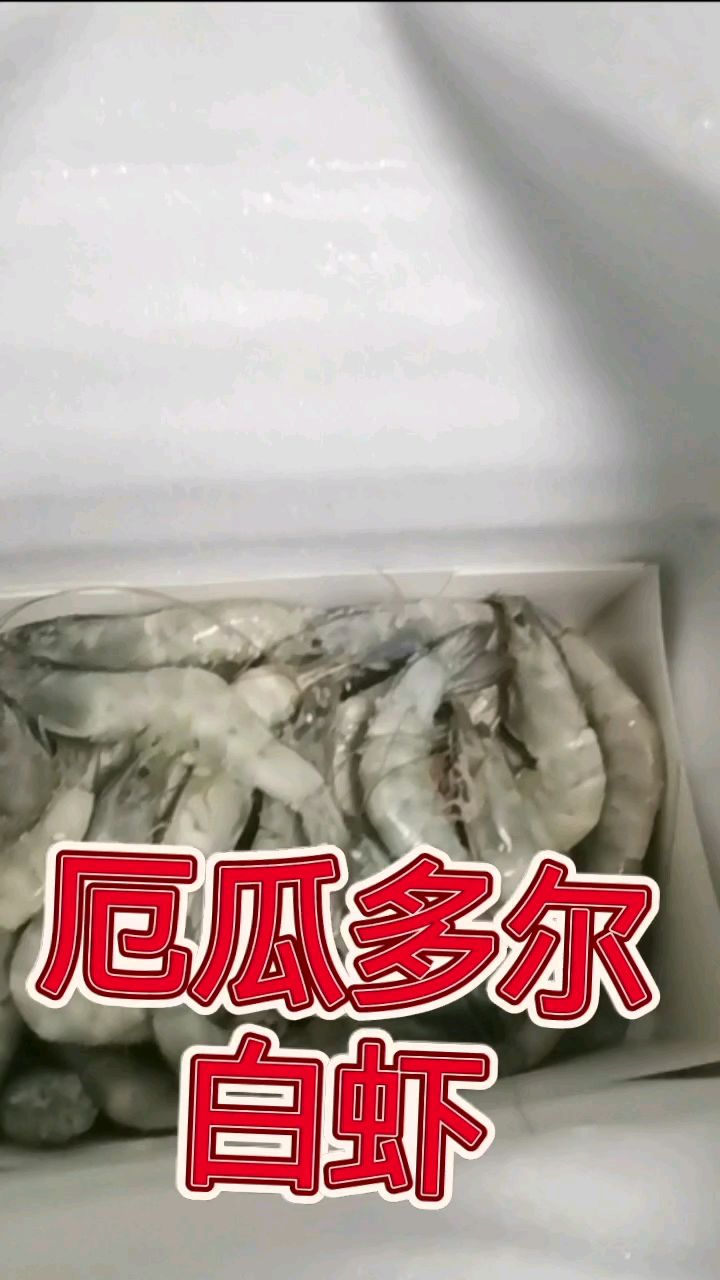 真实测评试吃dy:没事分享好东西,橱窗里的厄瓜多尔白虾,(自己)