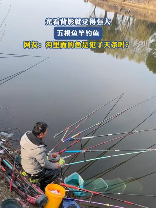光看背影就觉得强大,五根鱼竿钓鱼