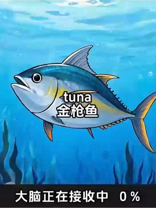10秒钟记住一个单词 tuna 金枪鱼