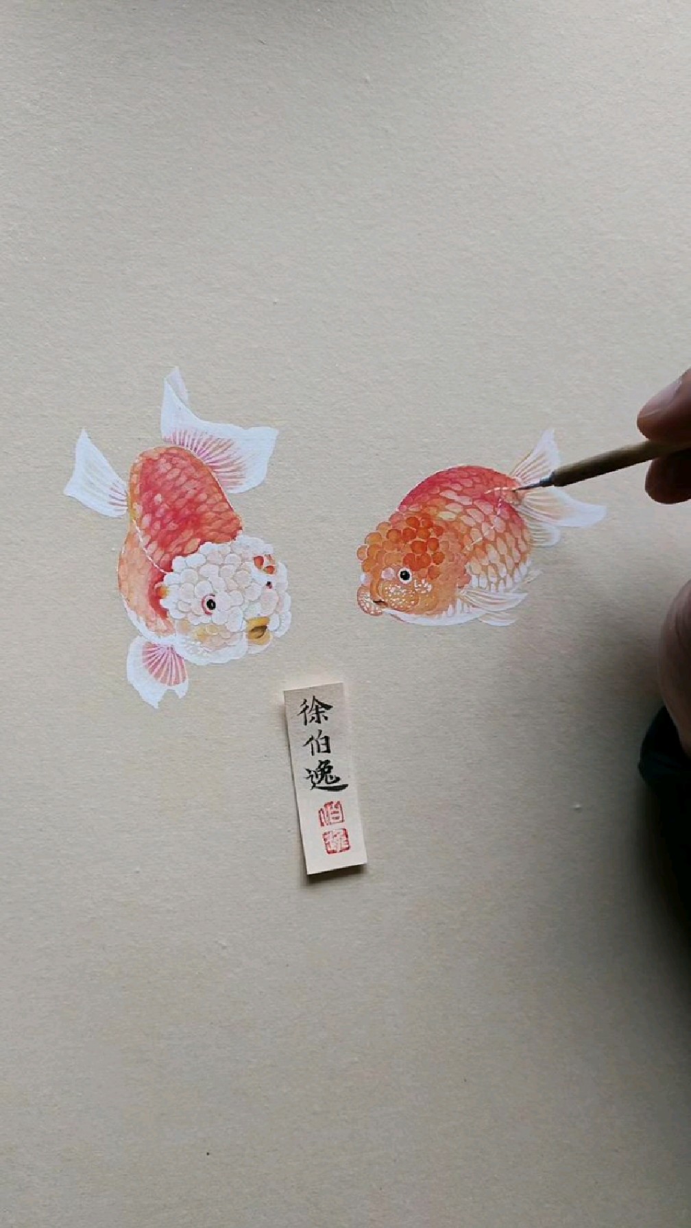 画一对陷入爱情的小金鱼