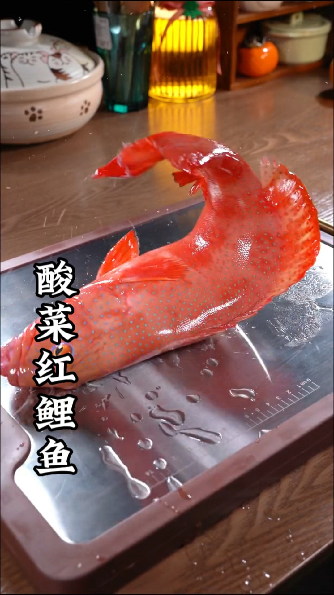 这样的红鲤鱼你们见过没,做酸菜鱼简直太好吃了