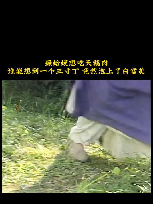 癞蛤蟆想吃天鹅肉
