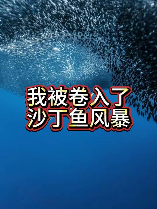 就1秒钟，在菲律宾薄荷岛的大裂缝掉进了沙丁鱼的风暴