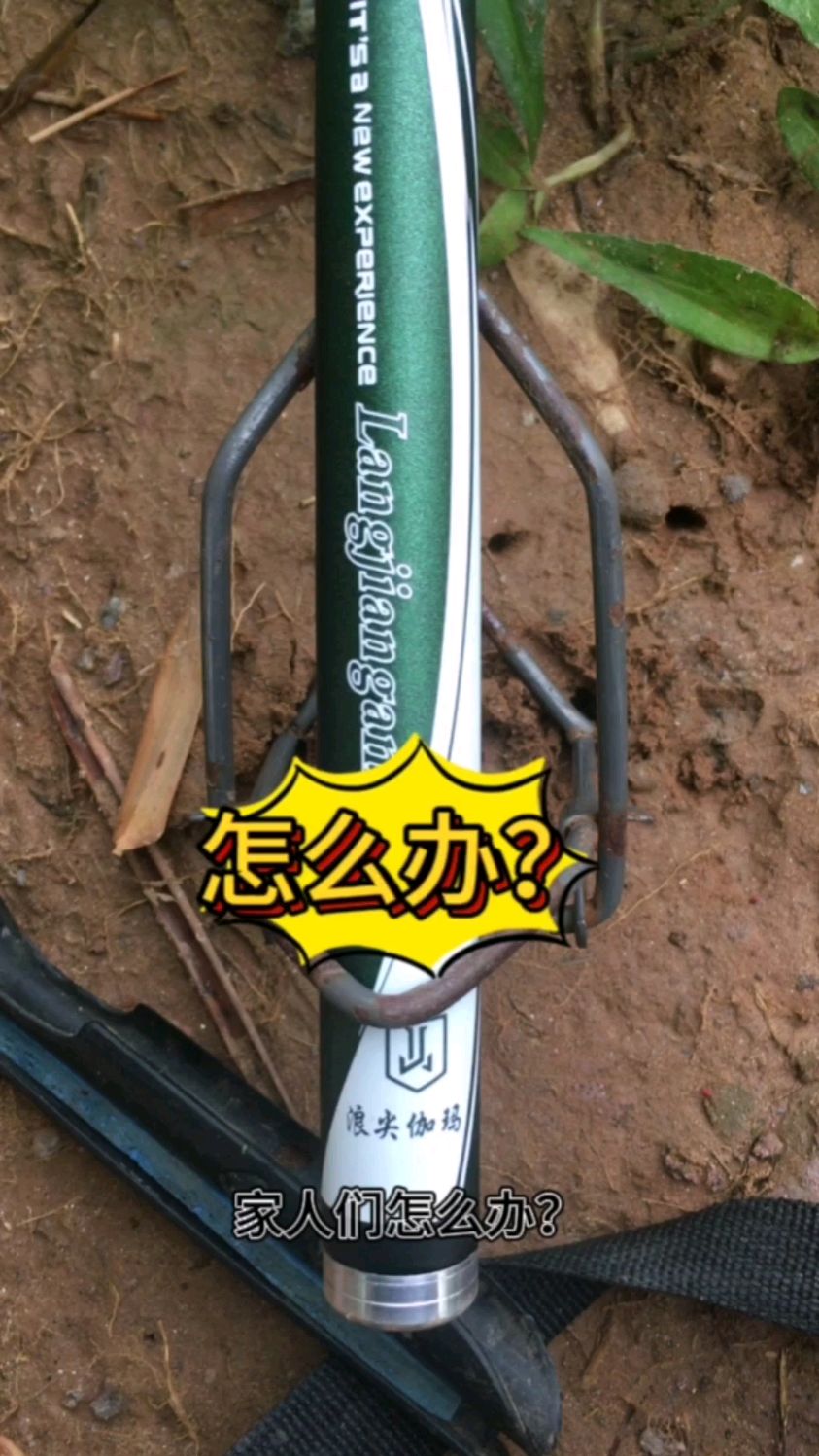 想买一支6米3的鱼竿去野钓,朋友们认为买6H19调的好还是8H19调的好?