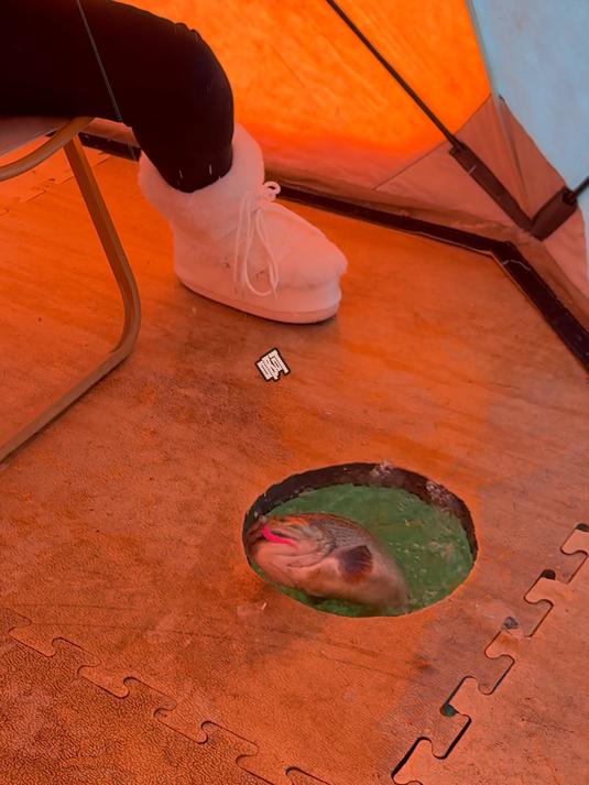 第一次体验东北的冰钓,鱼都上钩了还能跑,这合理吗?