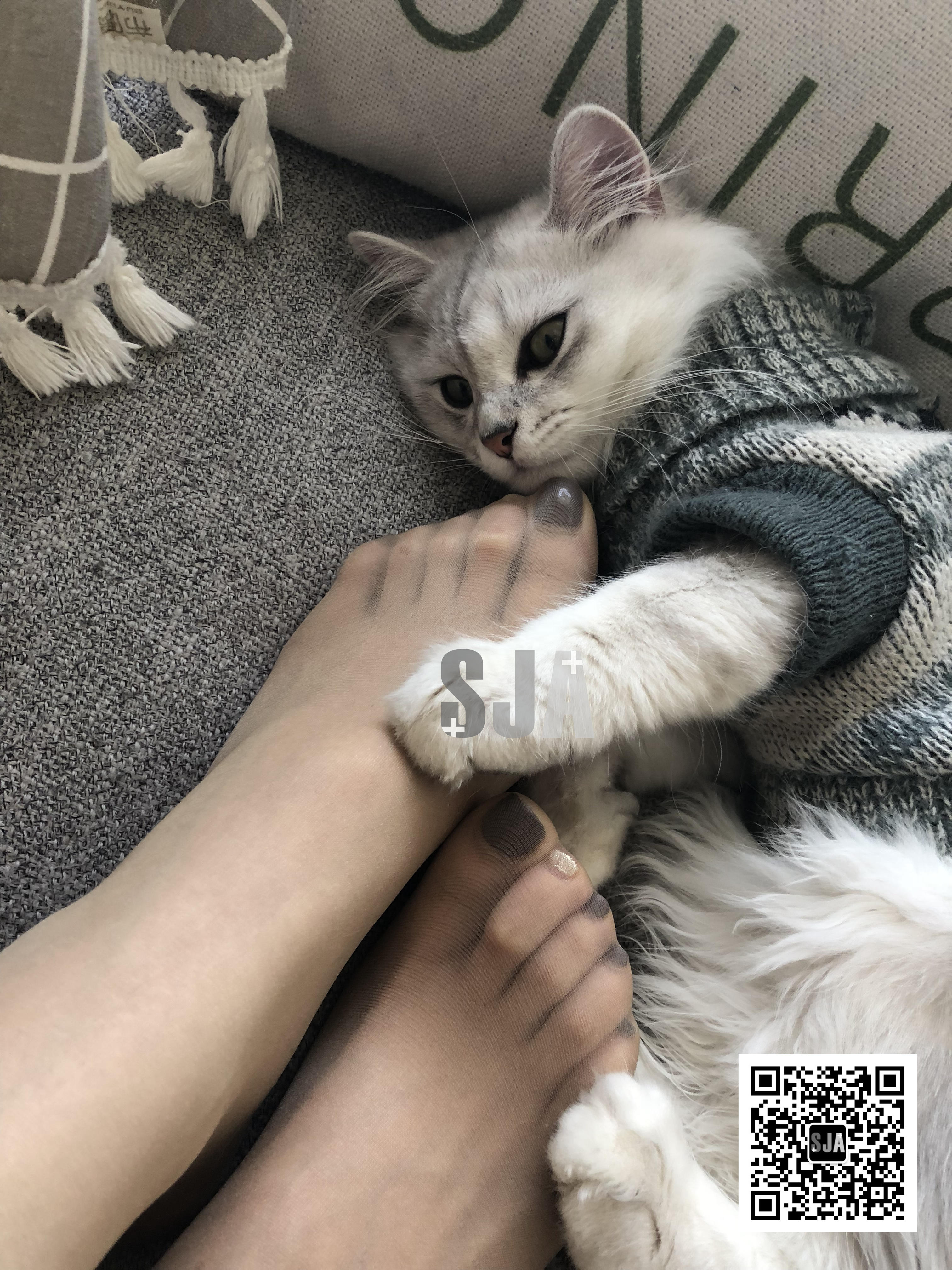 图片[14]-[SJA佳爷]闺蜜视角 NO.013 喵 [60P+81M]-六色网