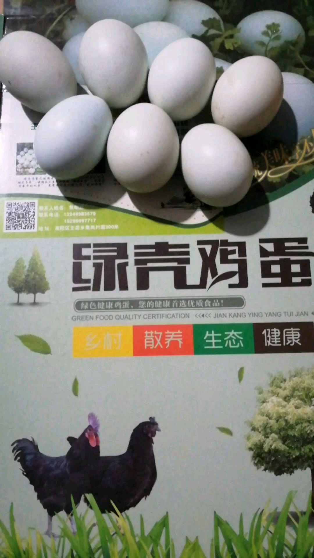 老年人吃绿壳鸡蛋的好处!