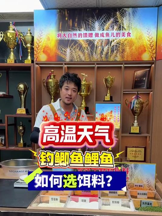 高温天气,钓鲫鱼鲤鱼,该用什么样的饵料,更好钓?