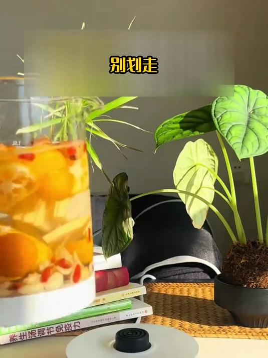 清新淡雅金桔雪梨百合饮 唤醒你的味蕾