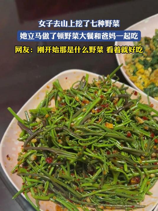 女子去山上挖了七种野菜,她立马做了顿野菜大餐和爸妈一起吃