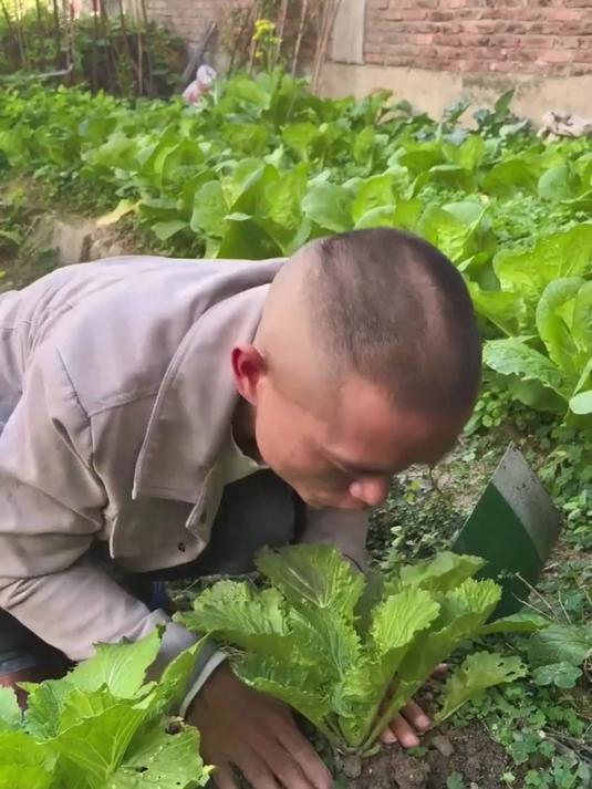 这样浇菜你见过吗