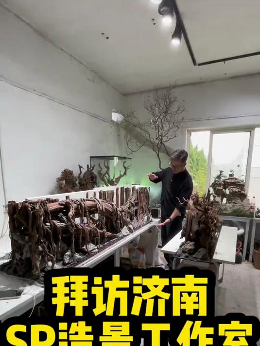 拜访厉害的鱼缸造景工作室