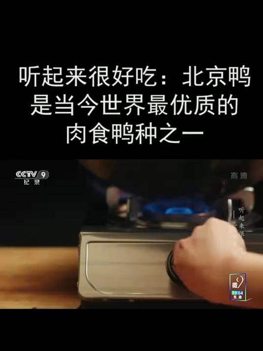 听起来很好吃:北京鸭是当今世界最优质的肉食鸭种之一