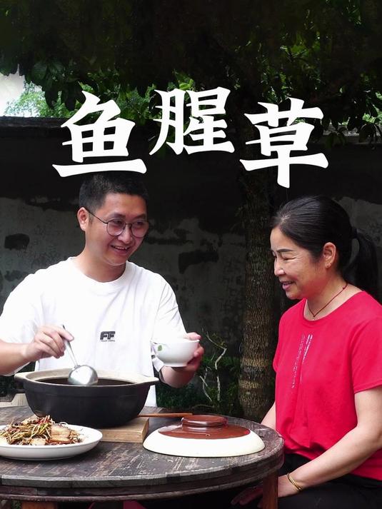田间挖到野生鱼腥草,与猪大肠炖出美味汤,逗老妈的欢乐时刻!