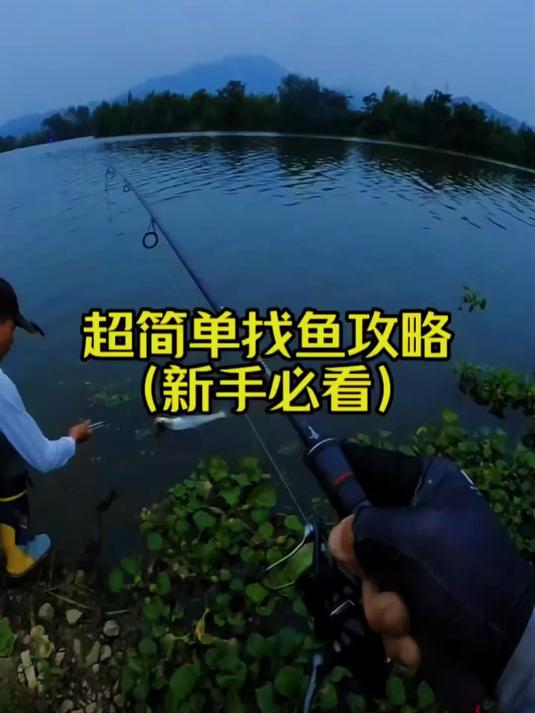路亚翘嘴,野钓实战经验分享!新手必看的一期,超简单找鱼攻略