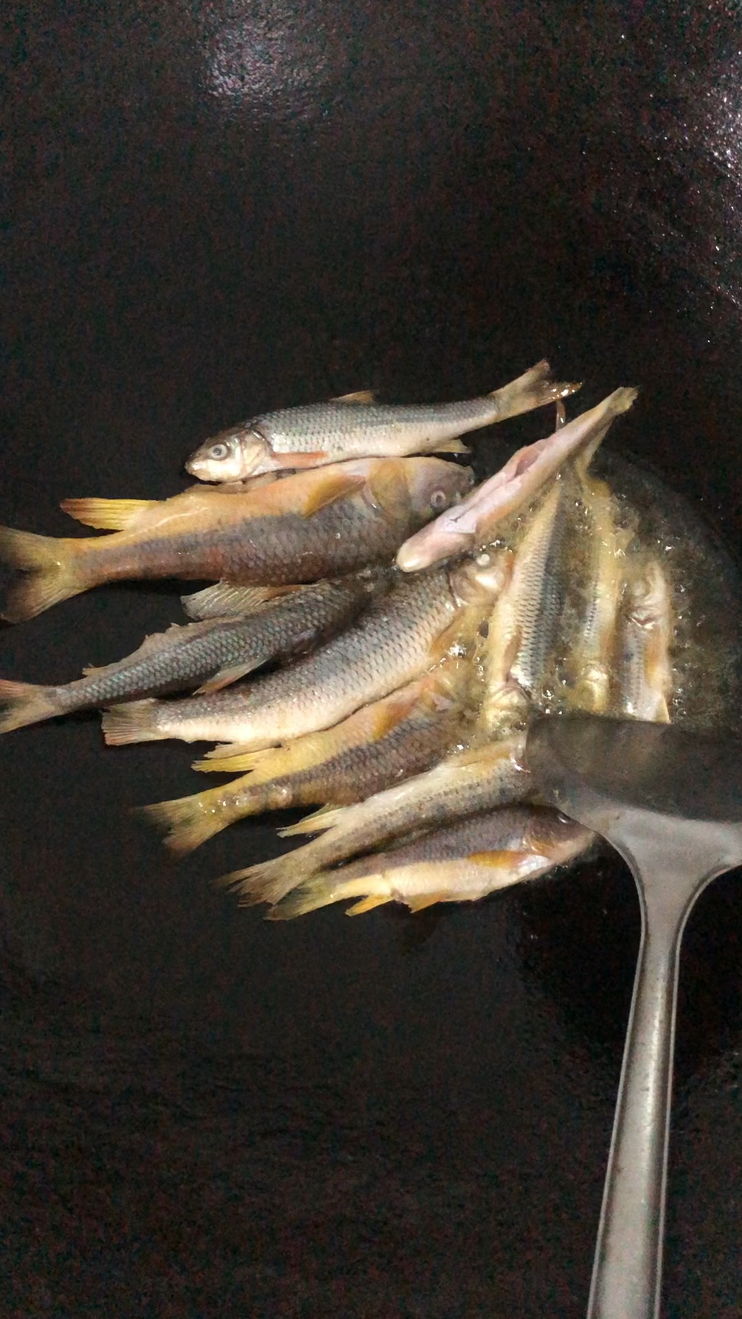 山坑鱼仔有好几种做法,这个是简单的焖鱼,怎么做都好吃