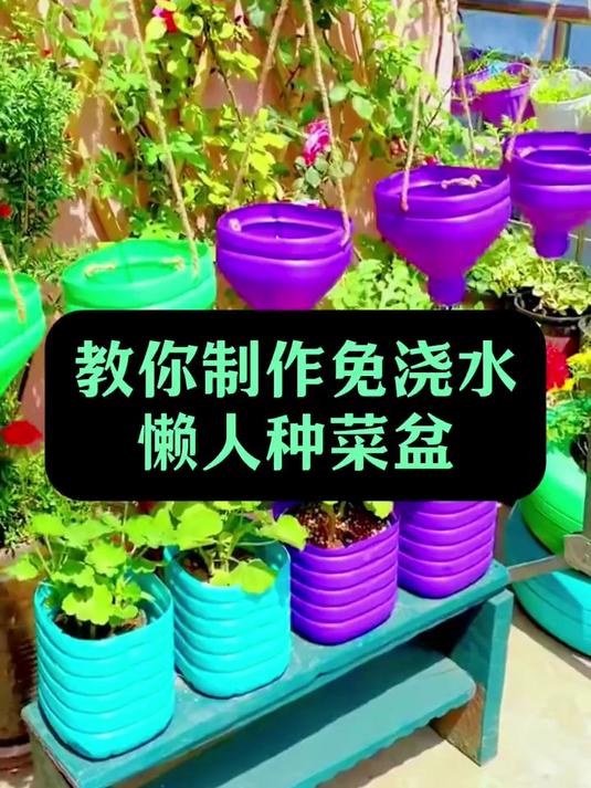 废油桶别扔，教你制作免浇水懒人种菜盆