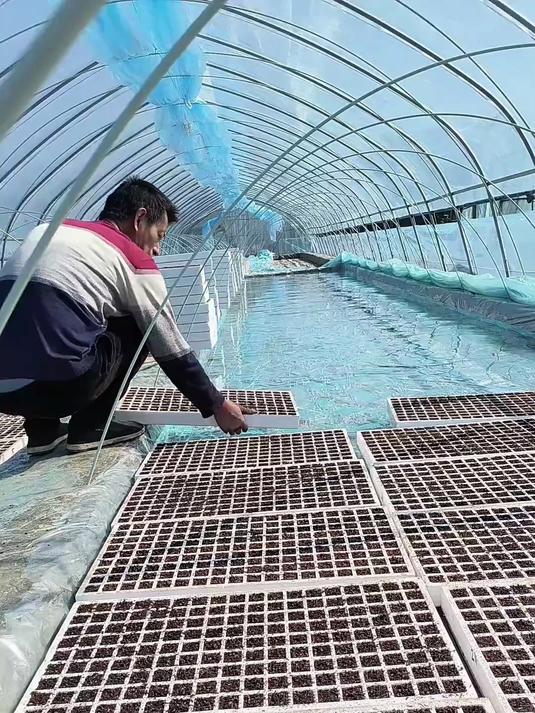漂浮在水上的种菜方式