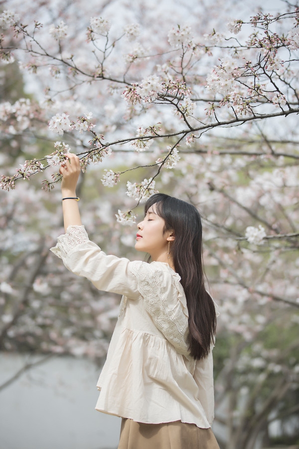 图片[22]-三生三世，百里樱花-六色网