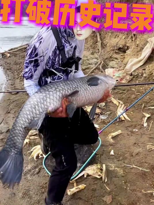 兄弟们别笑我，这还真是我钓过最大的青鱼