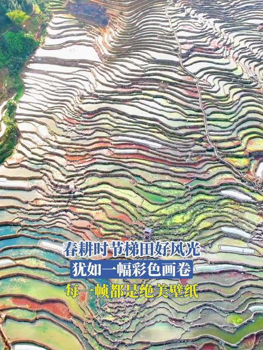 春耕时节梯田好风光,犹如一幅彩色画卷,每一帧都是绝美壁纸。旅游推荐