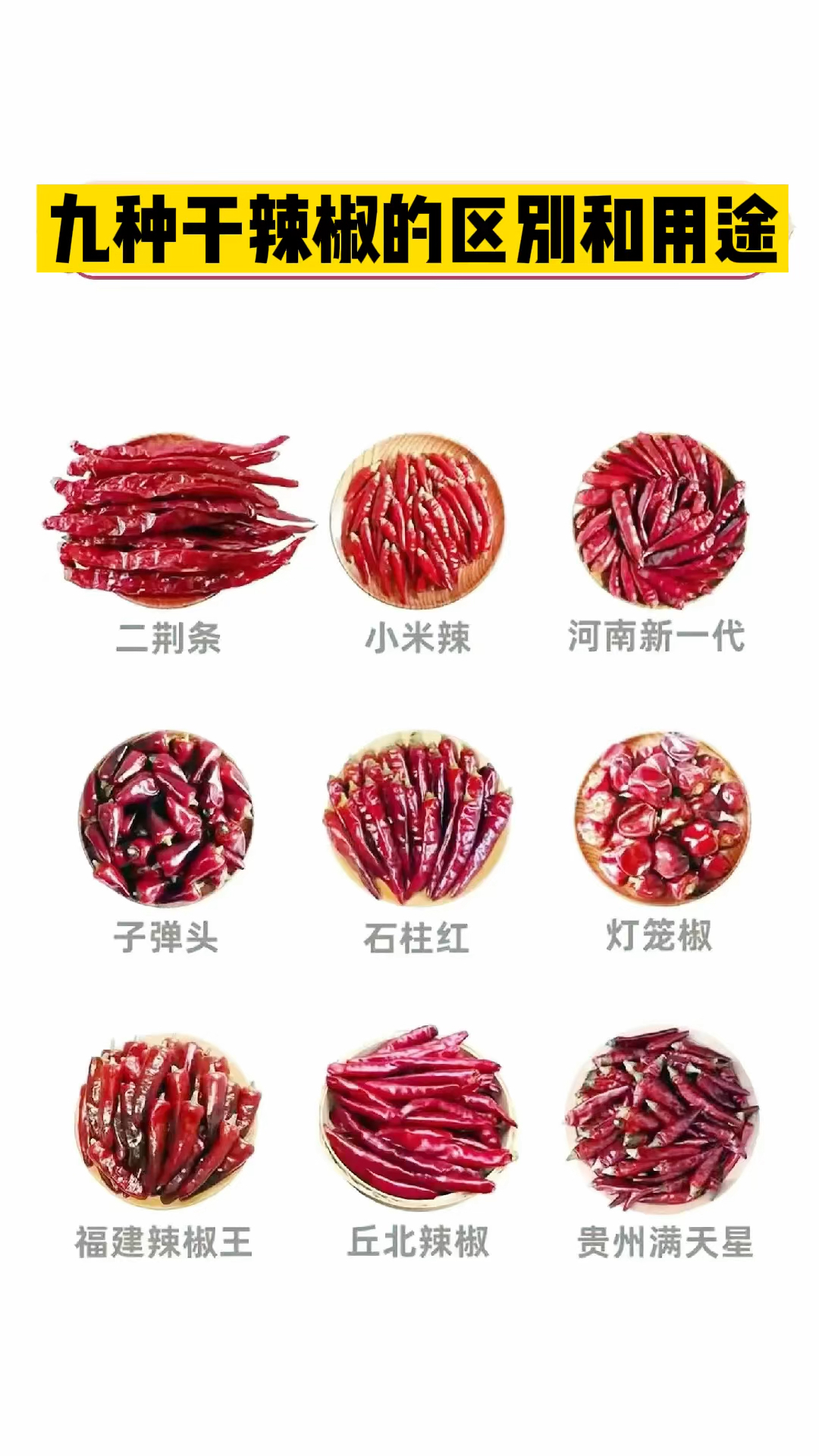 九种干辣椒的区别和用途分享给大家#卤味熟食#武汉鸭脖