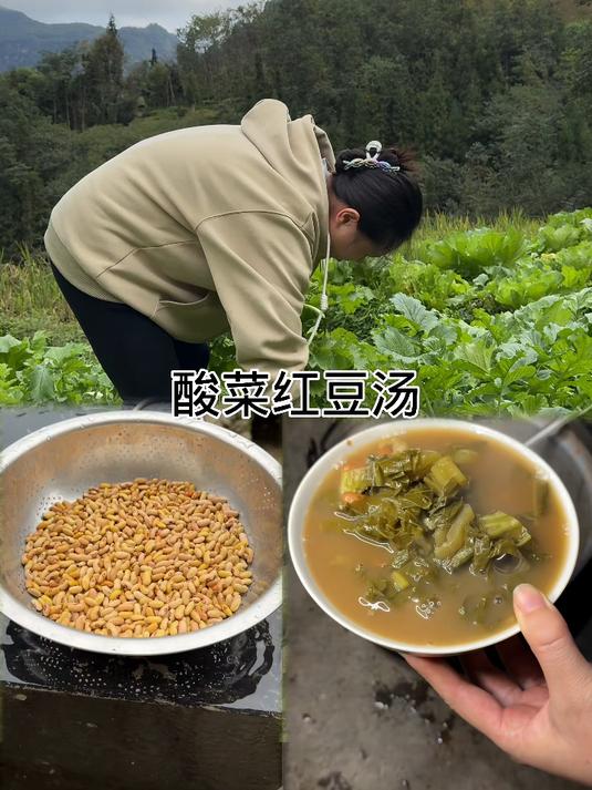 期待已久的酸菜红豆汤终于安排上了