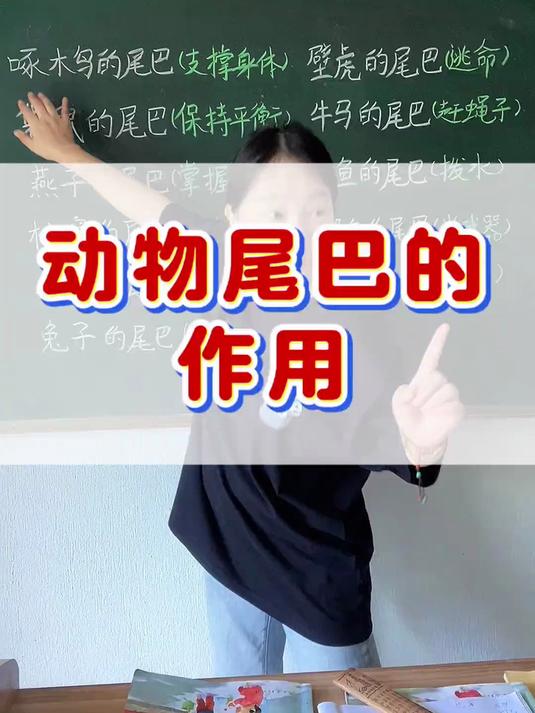 一年级下册语文《小壁虎借尾巴》动物尾巴的作用