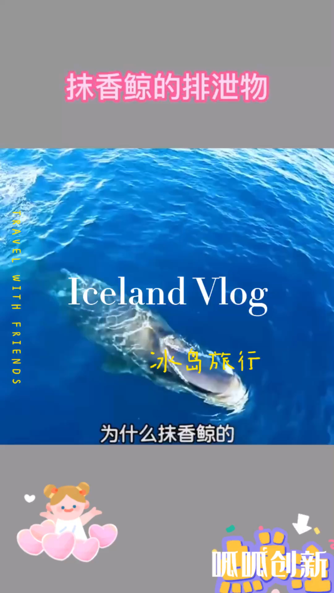 为什么抹香鲸的排泄物比黄金贵,长见识了