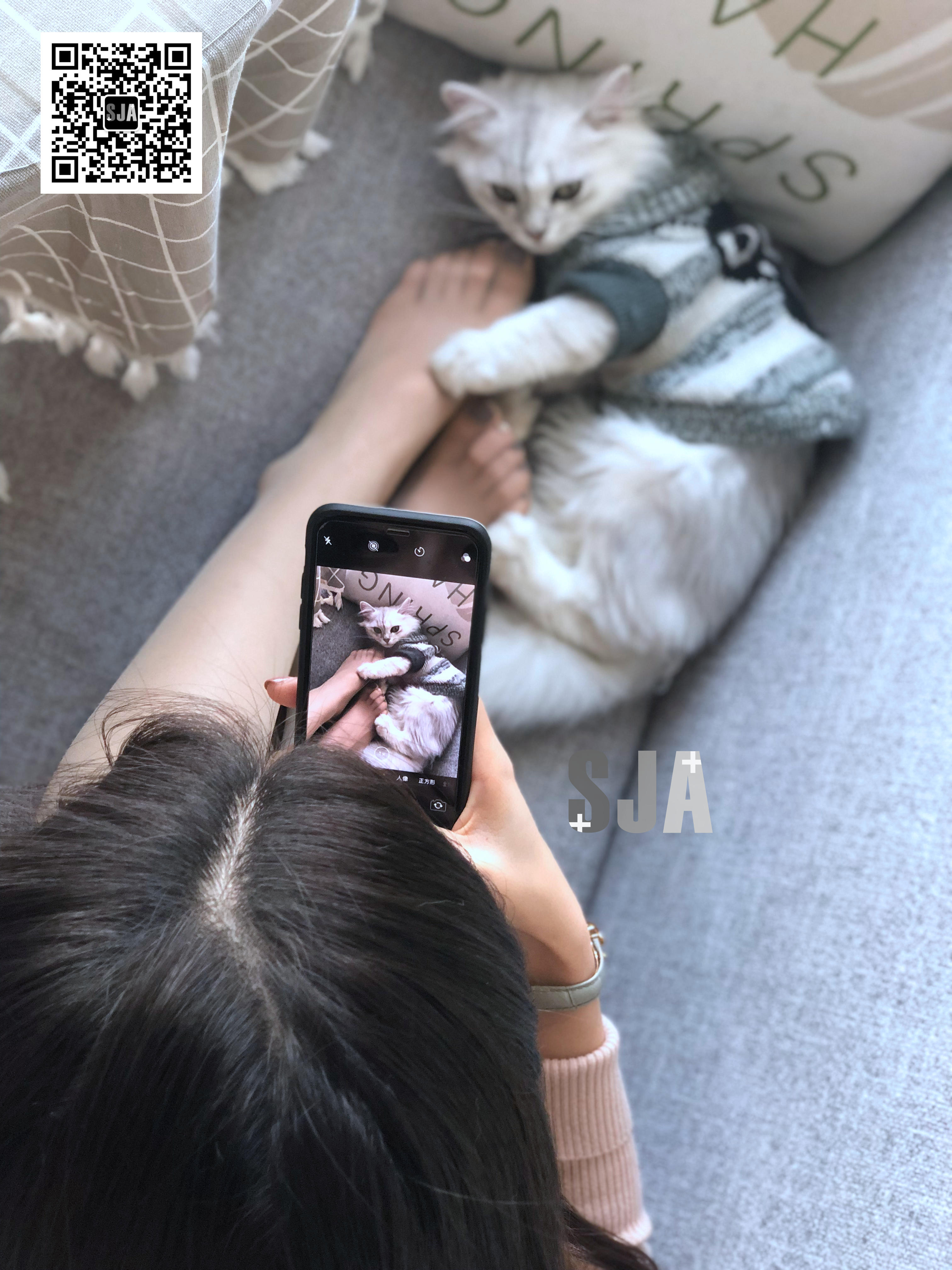图片[43]-[SJA佳爷]闺蜜视角 NO.013 喵 [60P+81M]-六色网
