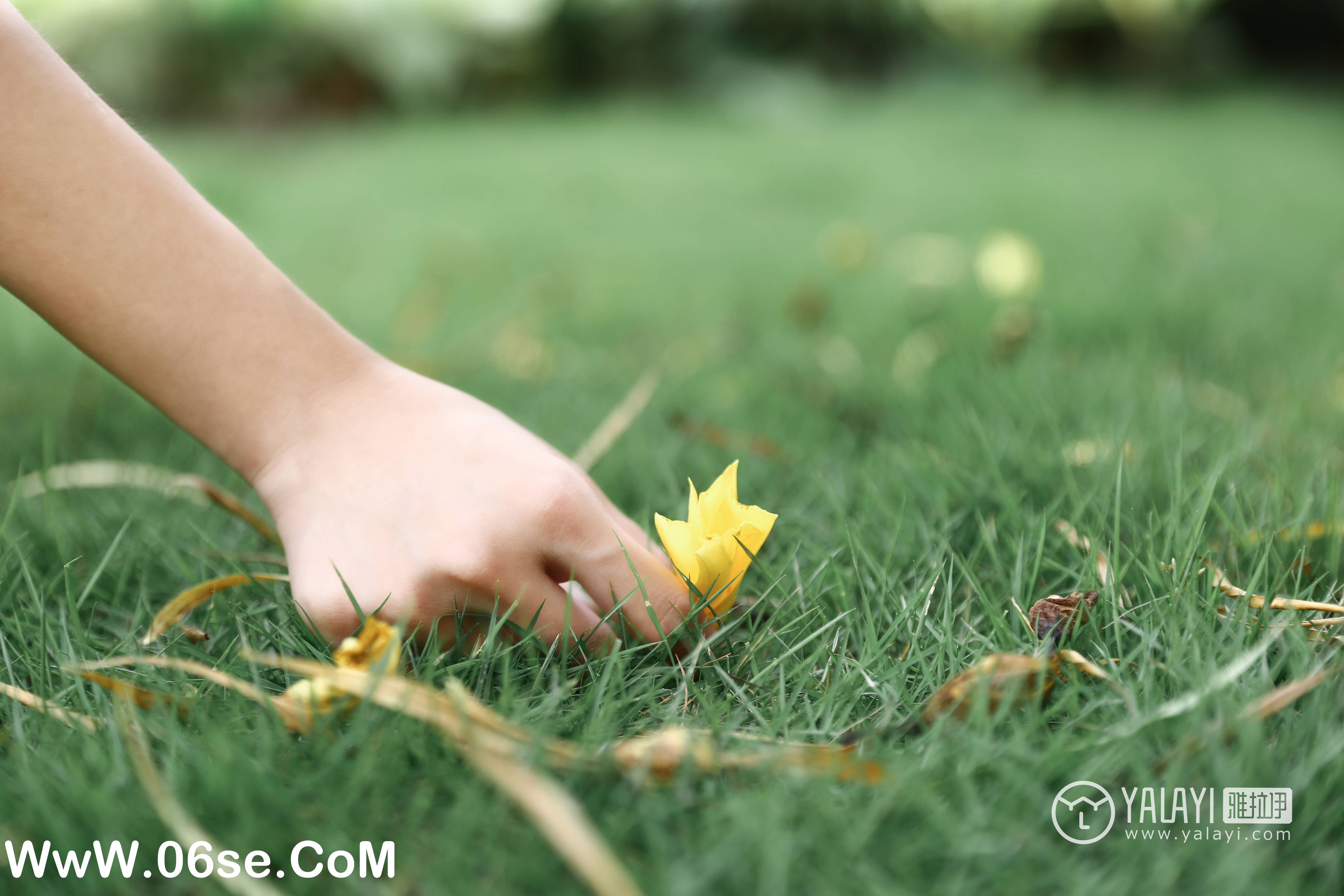图片[32]-[YALAYI雅拉伊] NO.026 花儿少女 兔洱-六色网