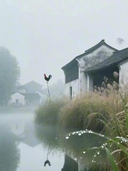 小猫汤姆钓小鱼,叮嘱鱼竿 “要钓胖的别钓小虾米”