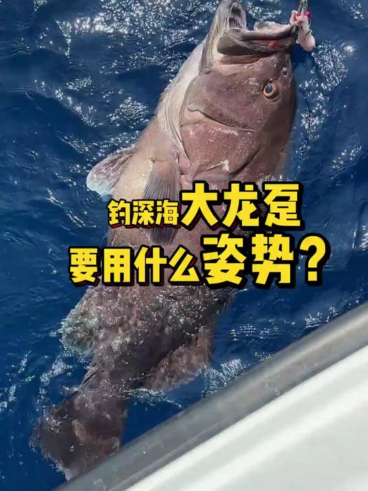 钓深海大龙趸要用什么姿势?马尔代夫钓大龙趸!