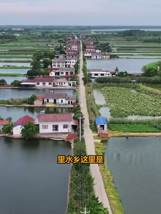 #这夏就出发#湖北江汉平原惊现现实版梦里水乡，开门见良田的绝美生活你向往吗？