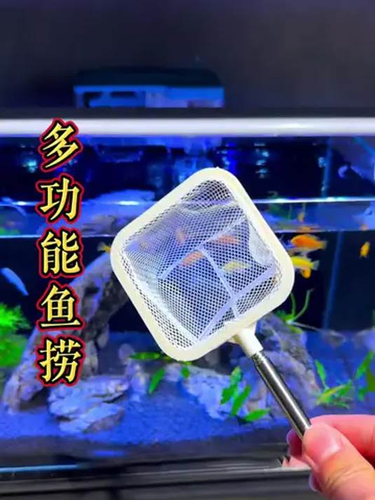 3D小鱼捞网实用小巧 捞鱼不跑不伤 水族必备