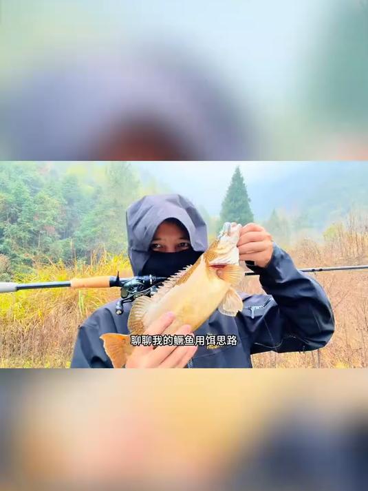 驯鱼高手马川鱼T尾 鳑鲏色的马川鱼T尾一直是我的信心饵，分享给你们我的路亚鳜鱼选饵思路#钓