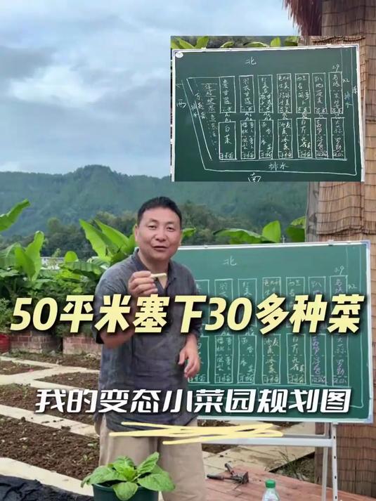 家庭小菜园50多平方米怎么种植30多种菜？