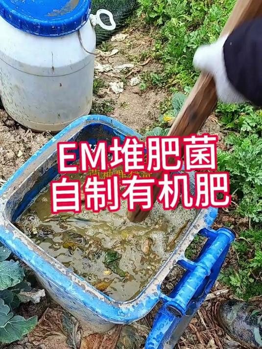 家里的厨余垃圾和烂菜叶子千万别扔,我们可以用来制作有机肥!