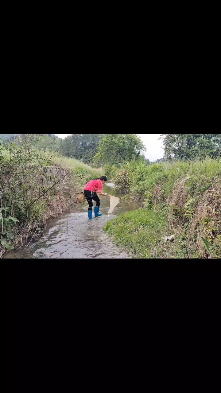 大山里捞野生虾米的乐趣,一碗虾米炒黄瓜丝,美味又下饭