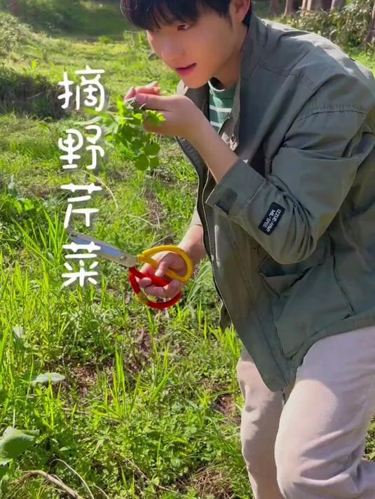 你们吃过“鸭脚板”吗？今天又发现一个野菜的秘密基地！