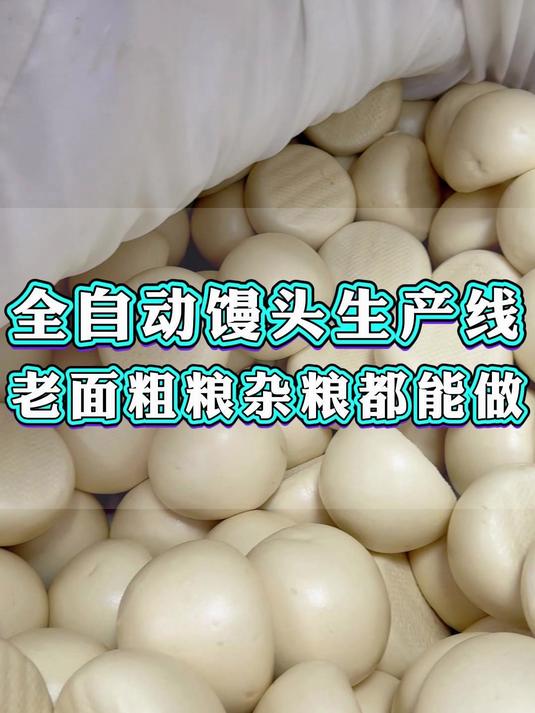 全自动馒头生产线,老面馒头、粗粮馒头、杂粮馒头都可以做