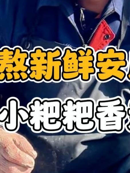 老海熬新鲜安康鱼吃，配上小粑粑香迷糊了