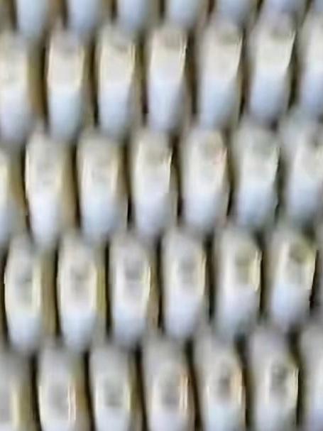 乍一看以为只是玻璃罐，没想到拿起来一看，里面装的全都是斗鱼#马上健康过大年#