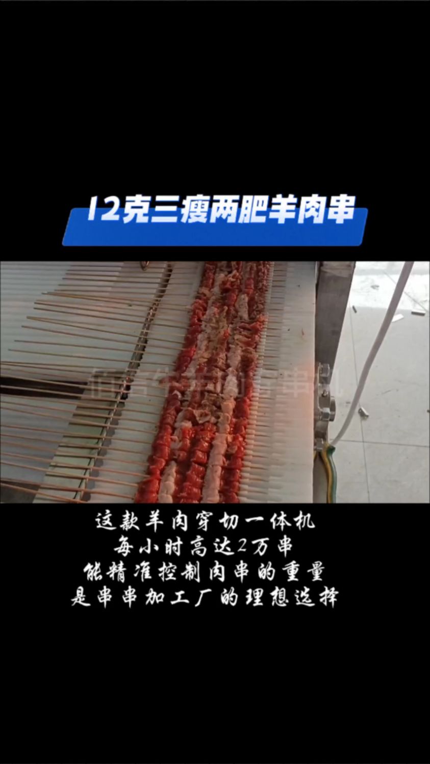 12克三瘦两肥羊肉串