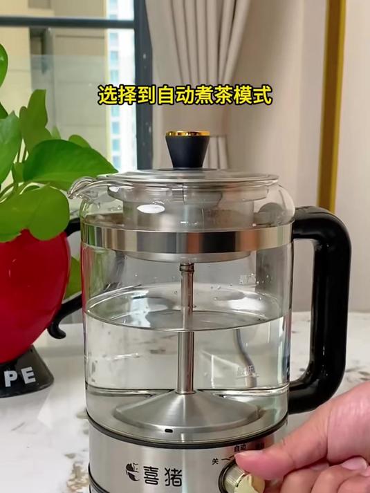 全自动蒸汽喷淋式煮陈皮白茶煮茶壶茶具神器