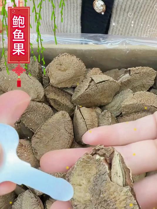 来自南美雨林的神秘坚果——鲍鱼果