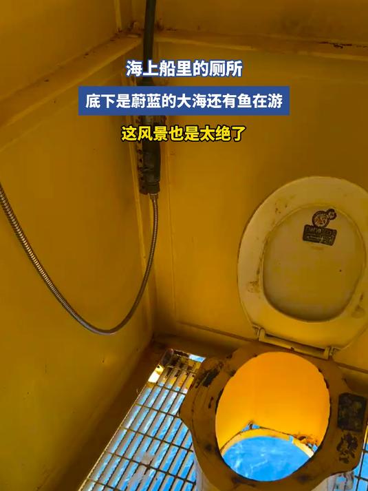 海上船里的厕所,底下是蔚蓝的大海还有鱼在游
