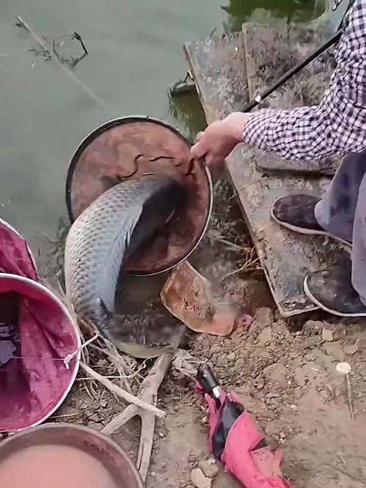 海竿路亚路滑三合一折叠鱼竿，不炸线又钓得远易中大鱼新手秒上手