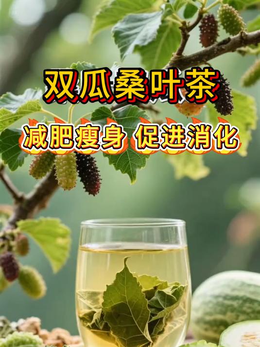 坚持喝上一个月,没有降不下来的,桑叶双瓜茶的作用这么多
