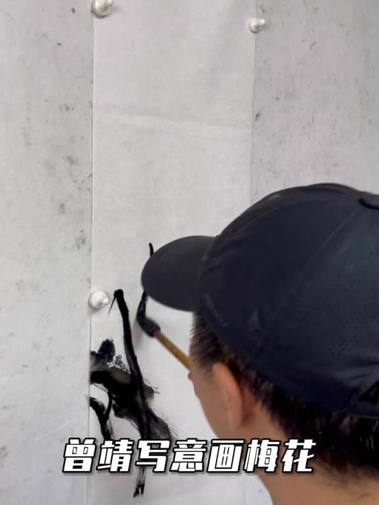 曾靖写意花鸟画国画梅花作品示范